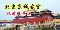 男人女人插插免费观看中国北京-东城古宫旅游风景区
